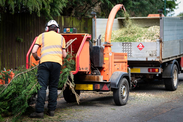 Best Emergency Tree Removal  in Niantic, CT