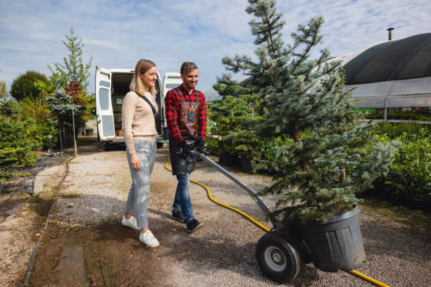 Best Hazardous Tree Removal  in Niantic, CT